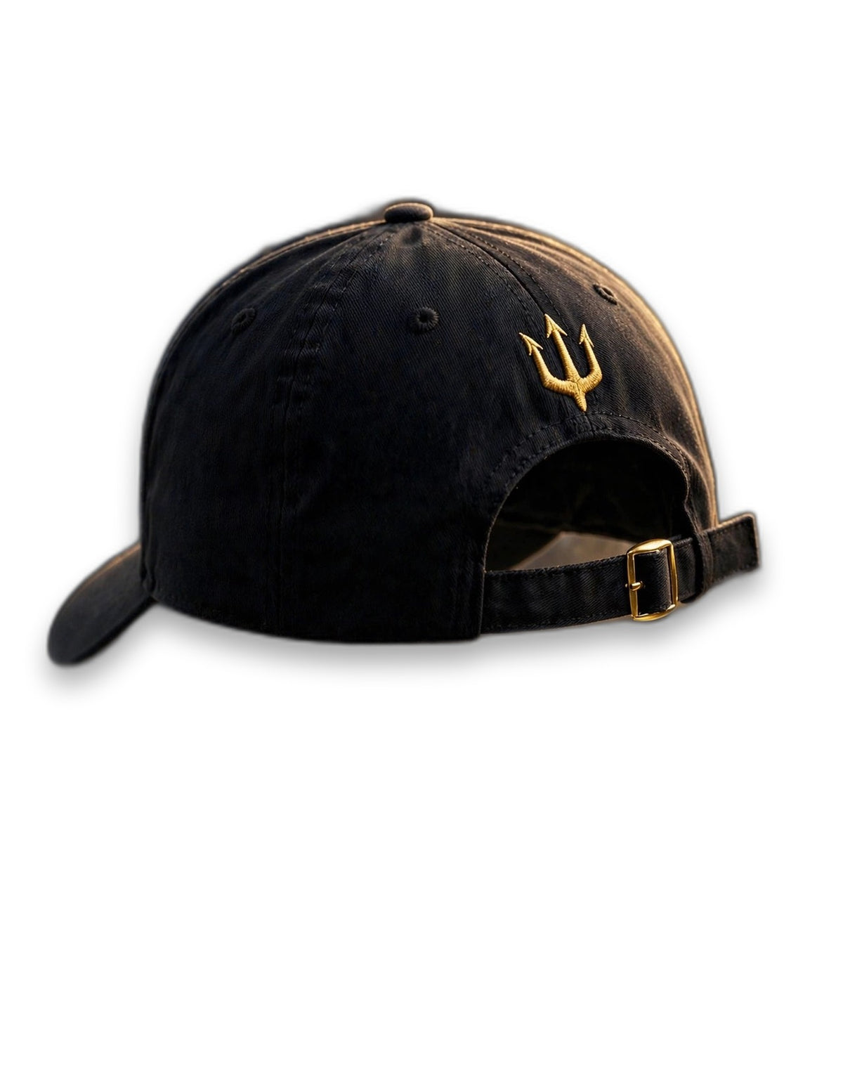 AKACHI Royal Crowned Lion Cap