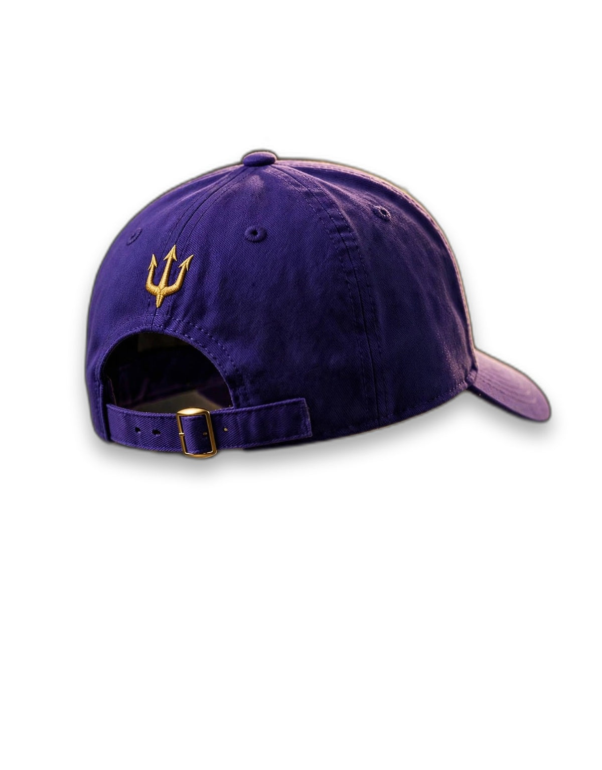 AKACHI Royal Purple Crowned Lion Cap