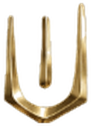 AKACHI gold trident